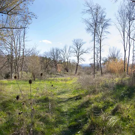 Zen Experience Including Yoga & Healthy Food * Ladern-sur-Lauquet