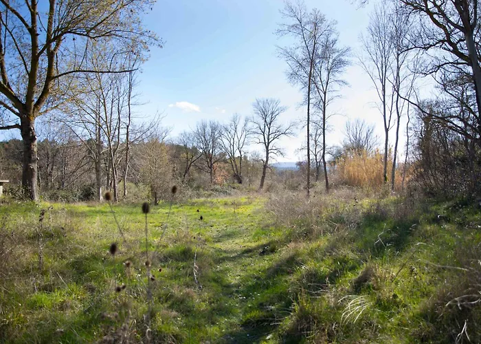 Zen Experience Including Yoga & Healthy Food * Ladern-sur-Lauquet